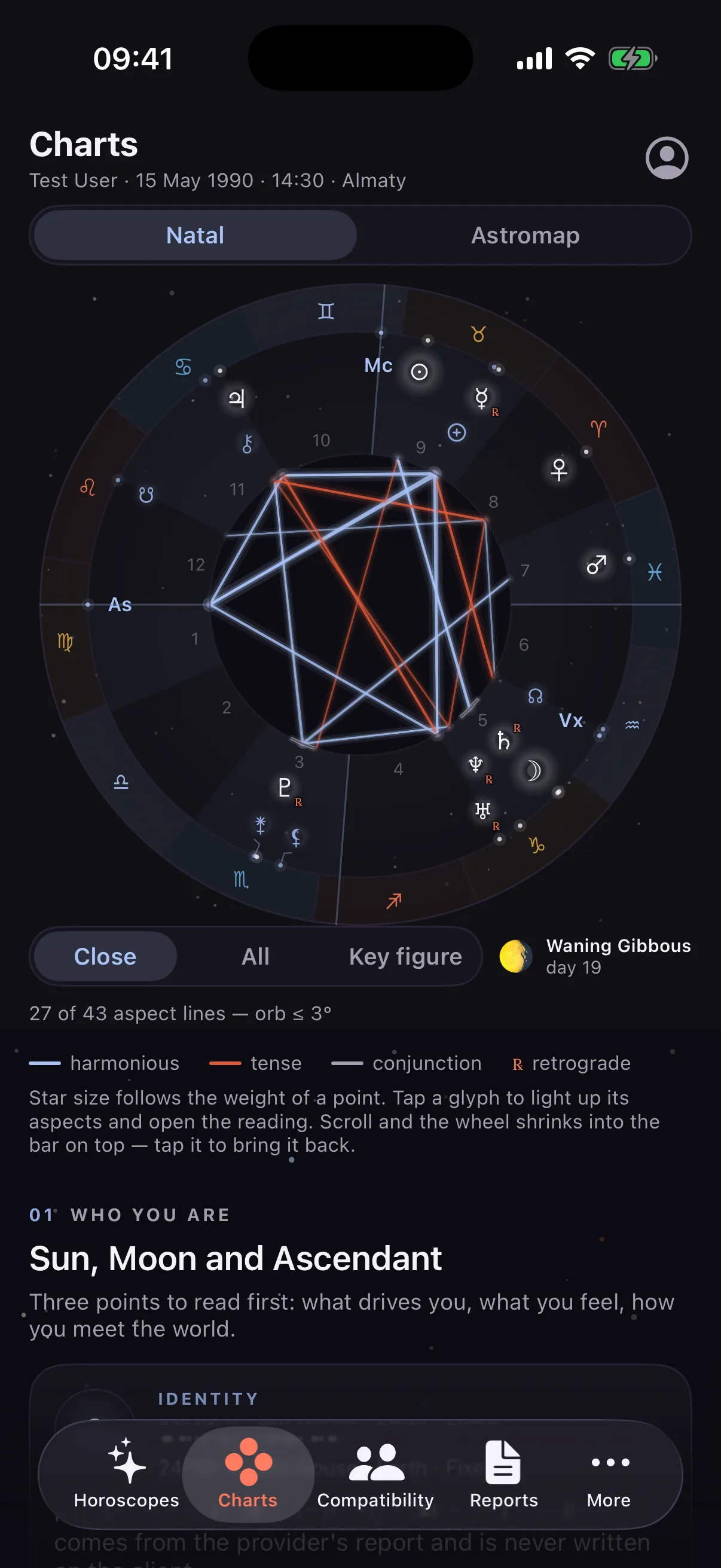 Your chart wheel, with the aspects drawn and weighted — screenshot